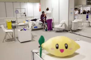 Spain Skills 2026 41 – Atencion Socio Sanitaria Redes002