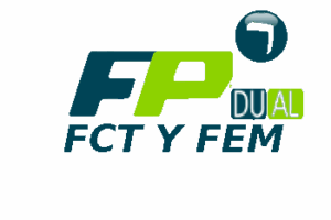 icon-FCT-FEM-DUAL